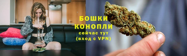 spice Лагань