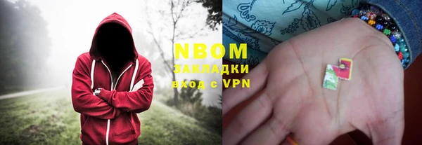 амф Ладушкин