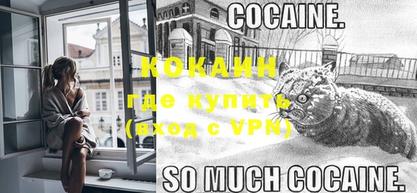 амф Ладушкин