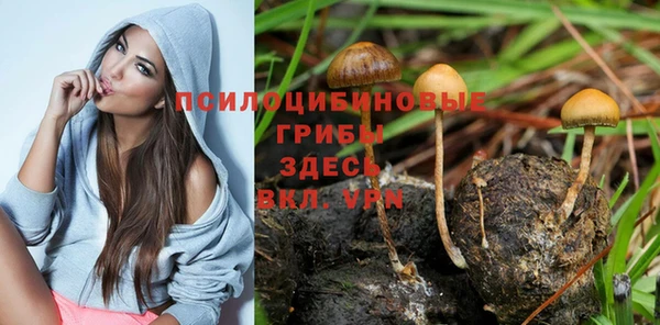 прущий лед Лабытнанги