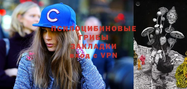 spice Лагань