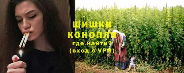 амф Ладушкин