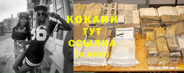 амф Ладушкин
