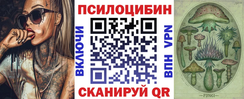 Купить закладки  Приморско-Ахтарск  Псилоцибиновые грибы Psilocybe 