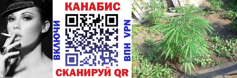 Каннабис ГИДРОПОН  Купить  Приморско-Ахтарск 